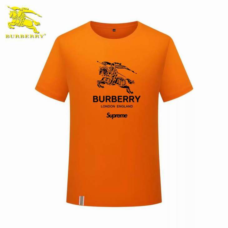 Picture of Burberry T Shirts Short _SKUBurberryM-3XL12yr3620318